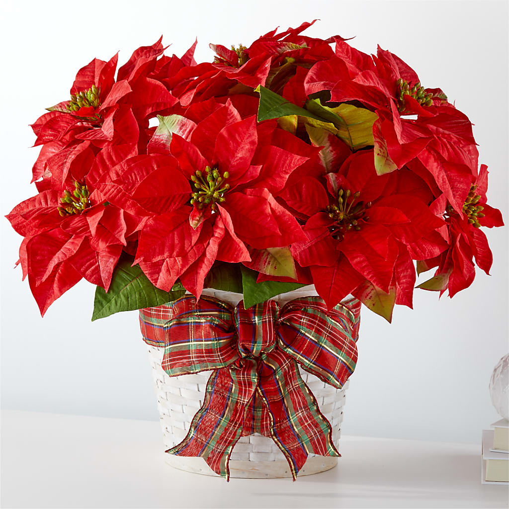 Happiest Holidays Poinsettia – LETITTE'S FLOWERS & GIFTS, Beaumont TX