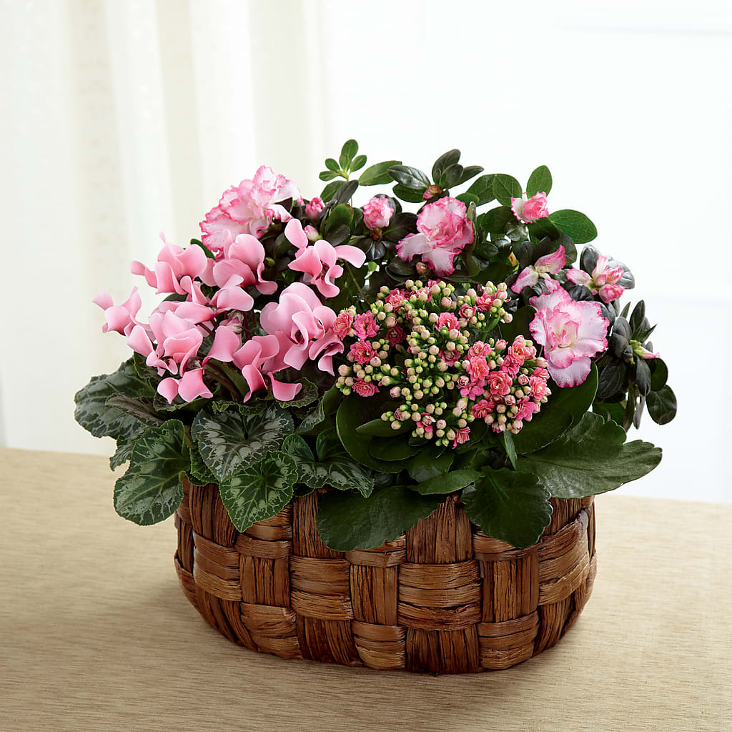 Pink Assortment – LETITTE'S FLOWERS & GIFTS, Beaumont TX
