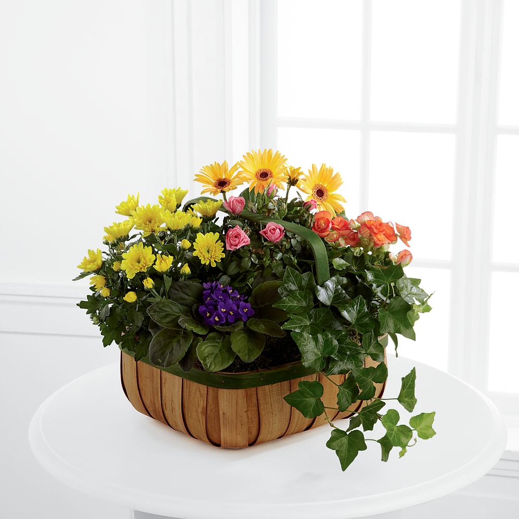 Gentle Blossoms Basket – LETITTE'S FLOWERS & GIFTS, Beaumont TX