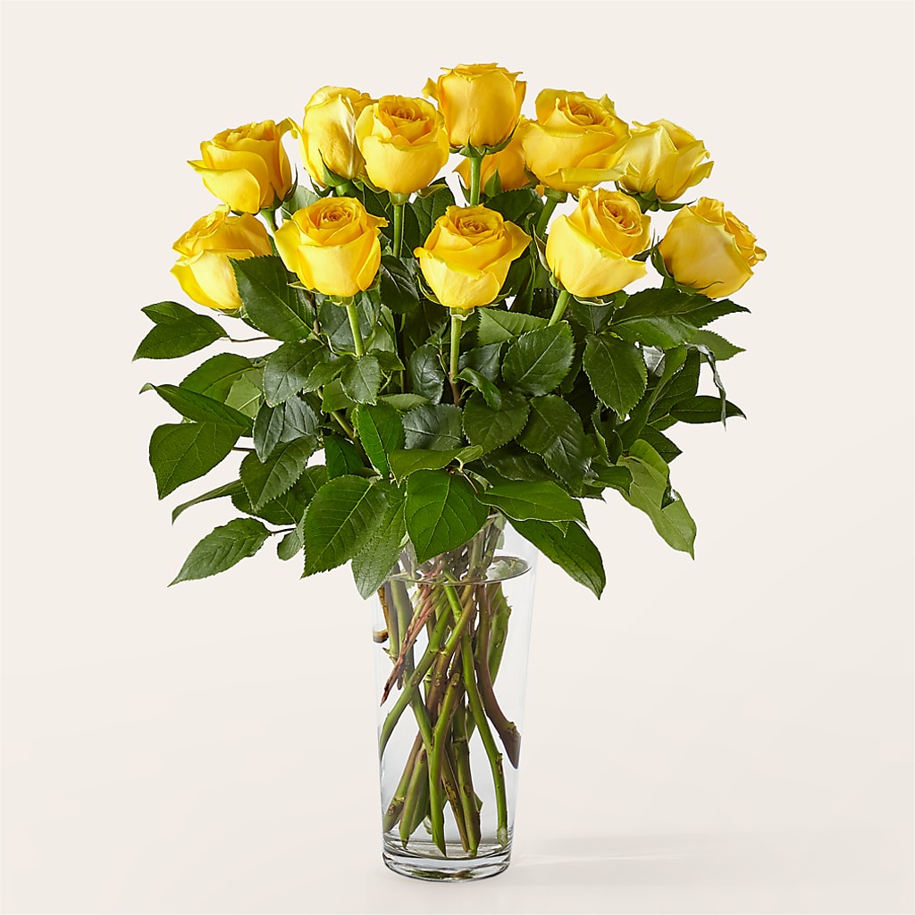 Long Stem Yellow Rose Bouquet – LETITTE'S FLOWERS & GIFTS, Beaumont TX