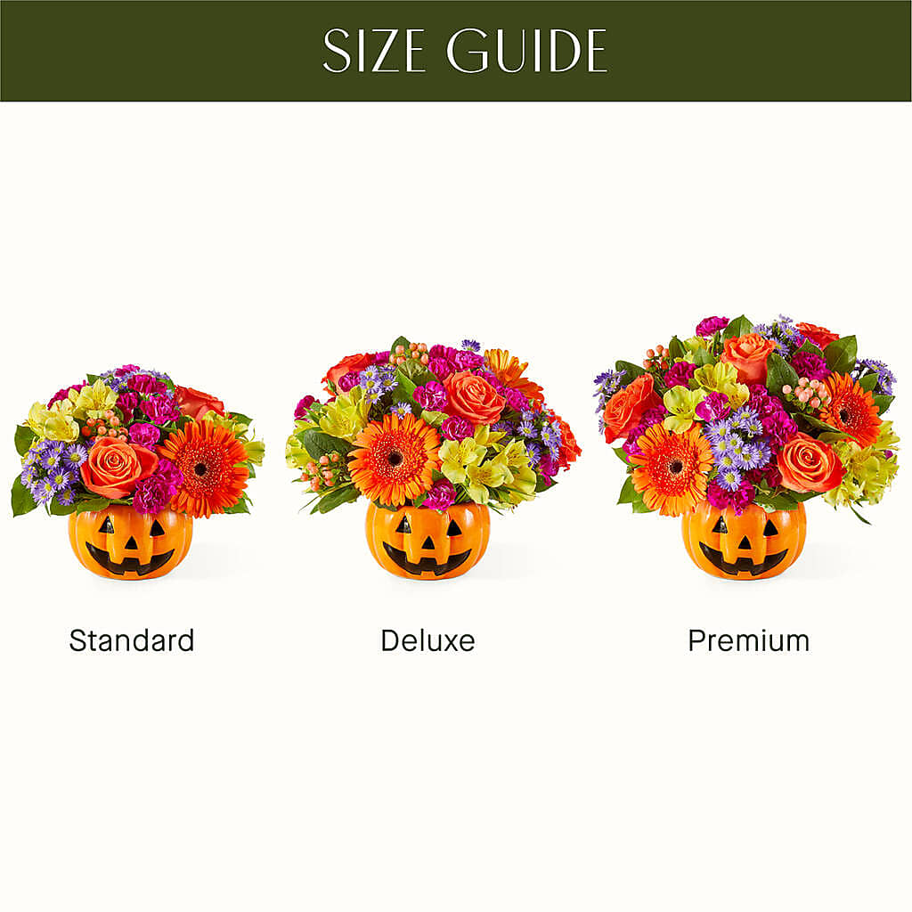 Tricks & Treats Pumpkin – LETITTE'S FLOWERS & GIFTS, Beaumont TX
