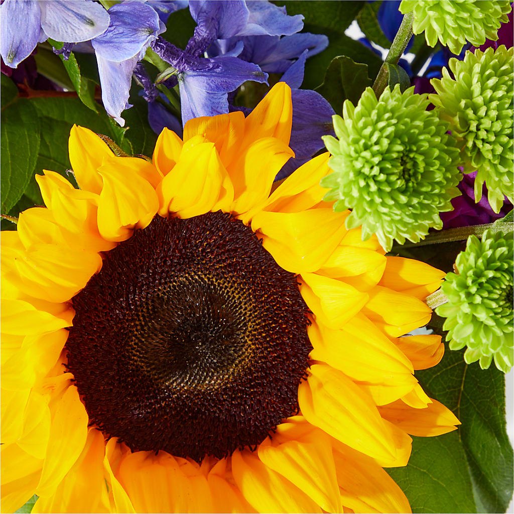 Catching Rays Bouquet – LETITTE'S FLOWERS & GIFTS, Beaumont TX