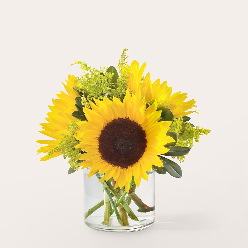 Beaming Sunflower Bouquet – LETITTE'S FLOWERS & GIFTS, Beaumont TX
