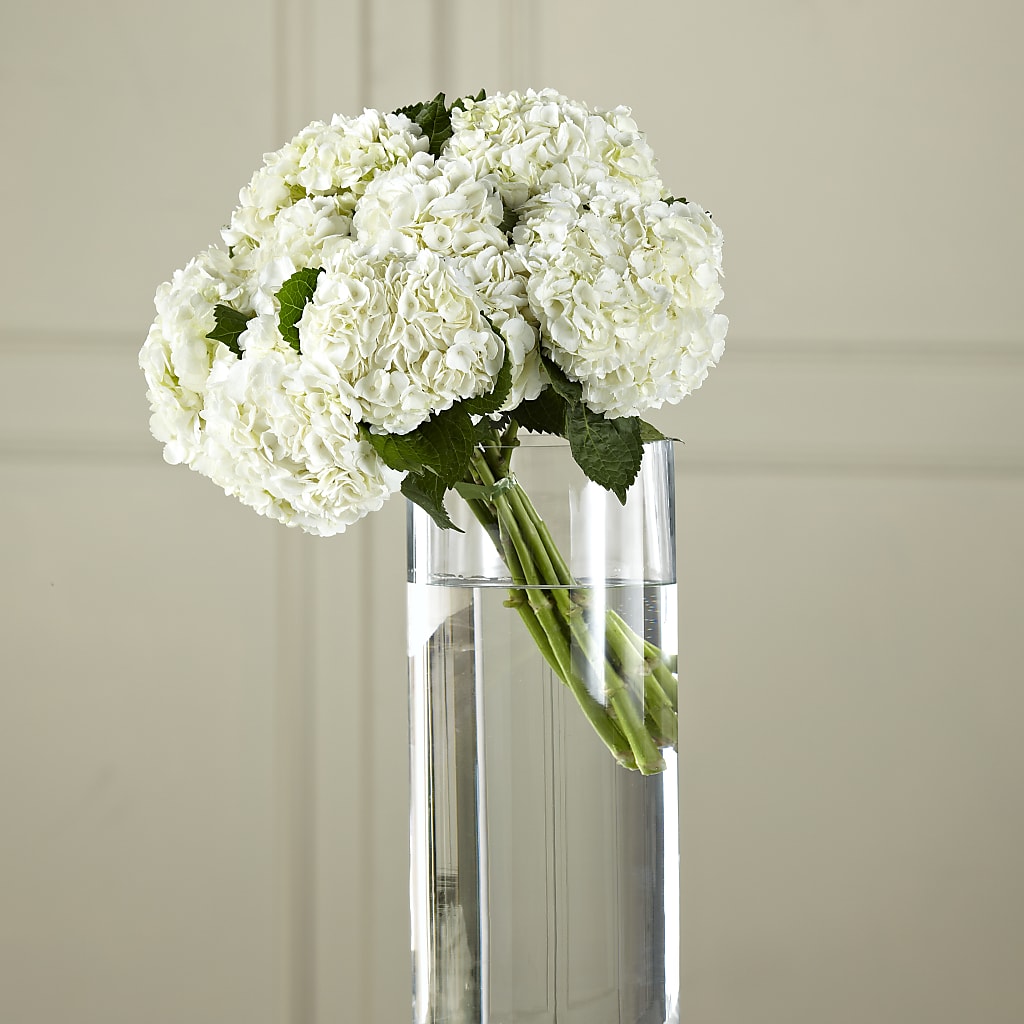 White Hydrangea Hand-Tied Bouquet – LETITTE'S FLOWERS & GIFTS, Beaumont TX