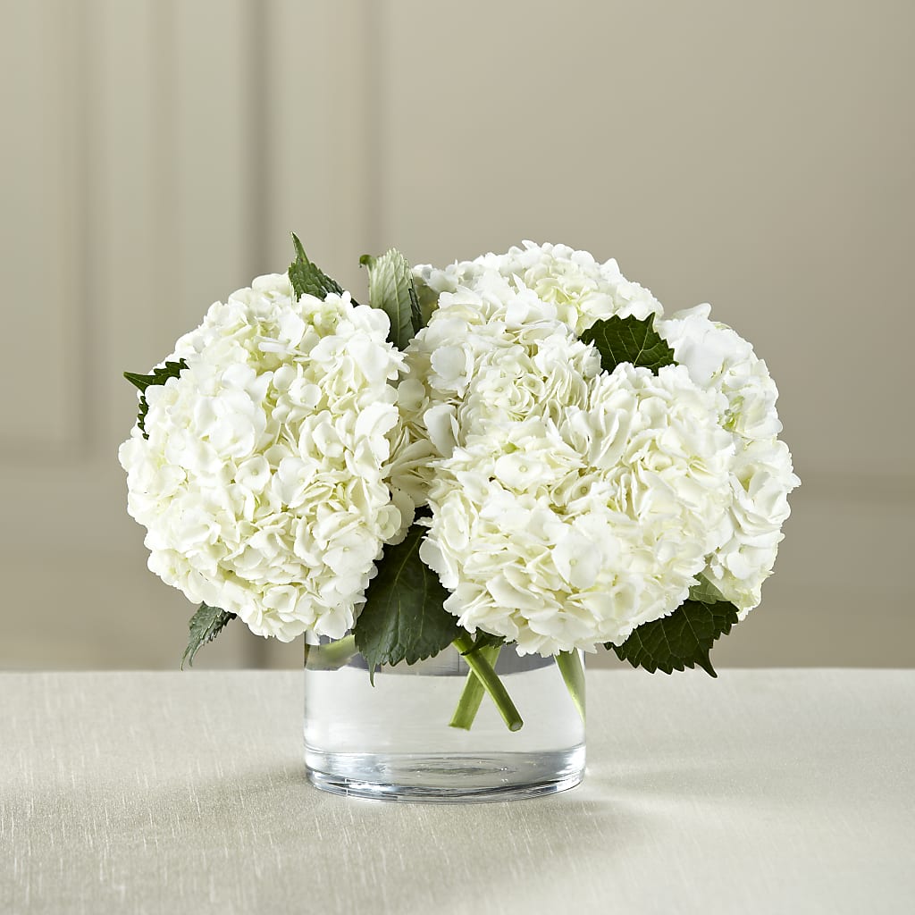 White Hydrangea Bouquet – LETITTE'S FLOWERS & GIFTS, Beaumont TX