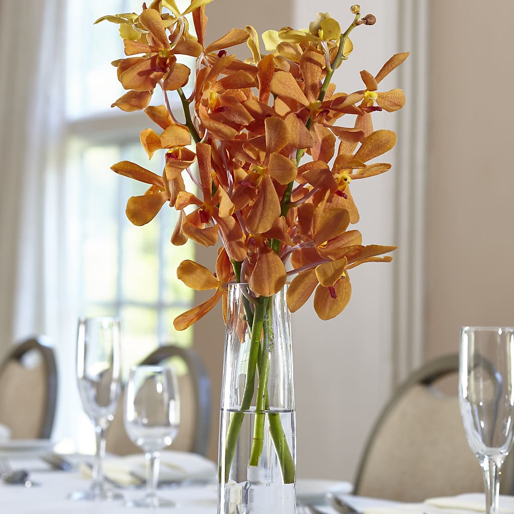 Orange Mokara Bud Vase – LETITTE'S FLOWERS & GIFTS, Beaumont TX