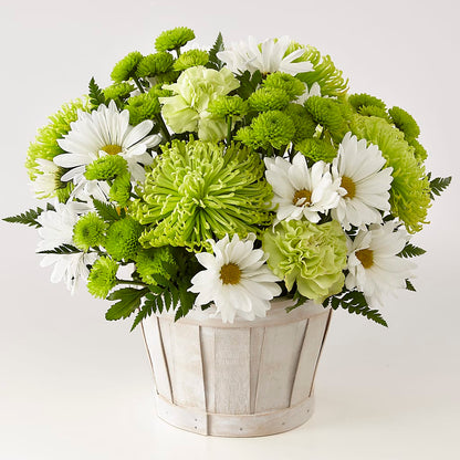 Lucky Charm Basket (Standard) – LETITTE'S FLOWERS & GIFTS, Beaumont TX