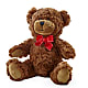 Adorable Plush Bear – LETITTE'S FLOWERS & GIFTS, Beaumont TX