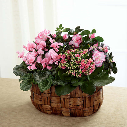 Pink Assortment – LETITTE'S FLOWERS & GIFTS, Beaumont TX
