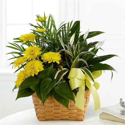 Loving Light Dishgarden – LETITTE'S FLOWERS & GIFTS, Beaumont TX