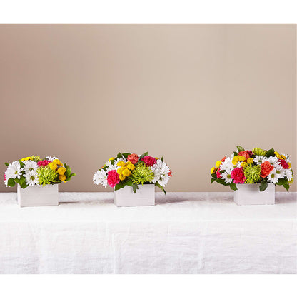 Sorbet Bouquet – LETITTE'S FLOWERS & GIFTS, Beaumont TX