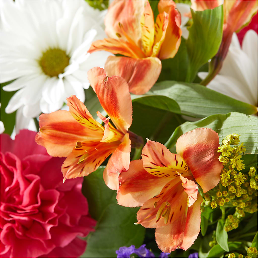 Oopsie Daisy Box Bouquet – LETITTE'S FLOWERS & GIFTS, Beaumont TX