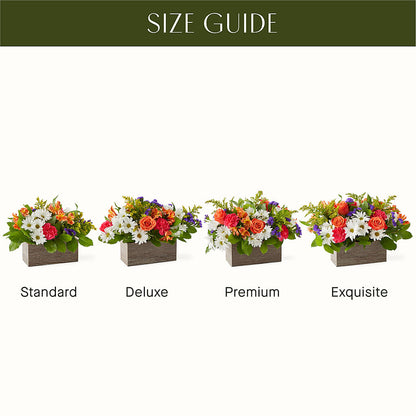 Oopsie Daisy Box Bouquet – LETITTE'S FLOWERS & GIFTS, Beaumont TX