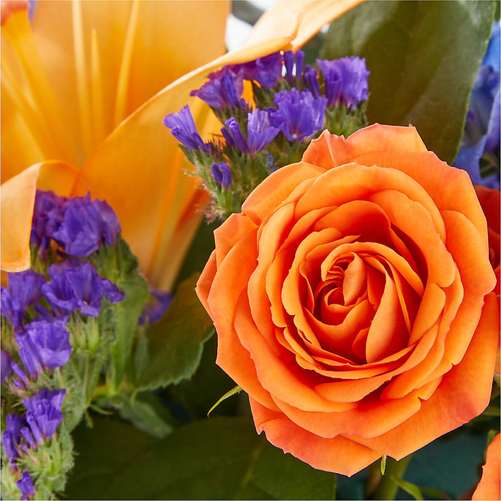 Radiant Citrus Box Bouquet – LETITTE'S FLOWERS & GIFTS, Beaumont TX