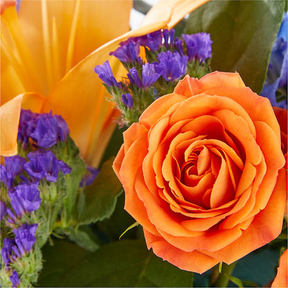 Radiant Citrus Box Bouquet – LETITTE'S FLOWERS & GIFTS, Beaumont TX
