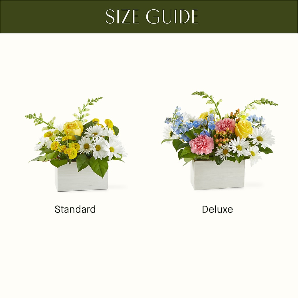 Sun Salutation Box Bouquet – LETITTE'S FLOWERS & GIFTS, Beaumont TX