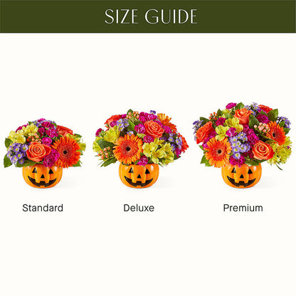Tricks & Treats Pumpkin – LETITTE'S FLOWERS & GIFTS, Beaumont TX