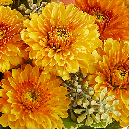 Peachy Pumpkin – LETITTE'S FLOWERS & GIFTS, Beaumont TX