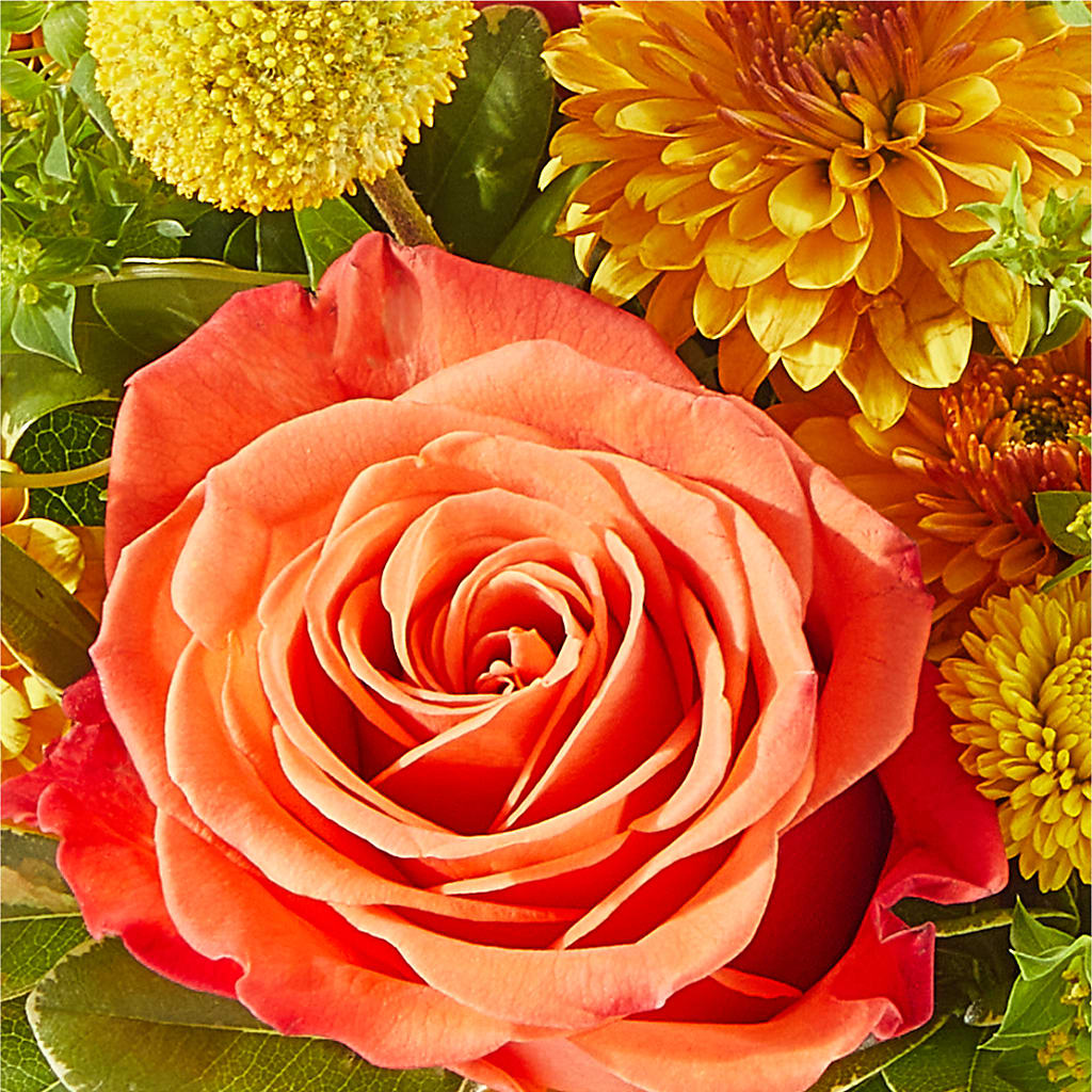 Gourdgeous Pumpkin – LETITTE'S FLOWERS & GIFTS, Beaumont TX