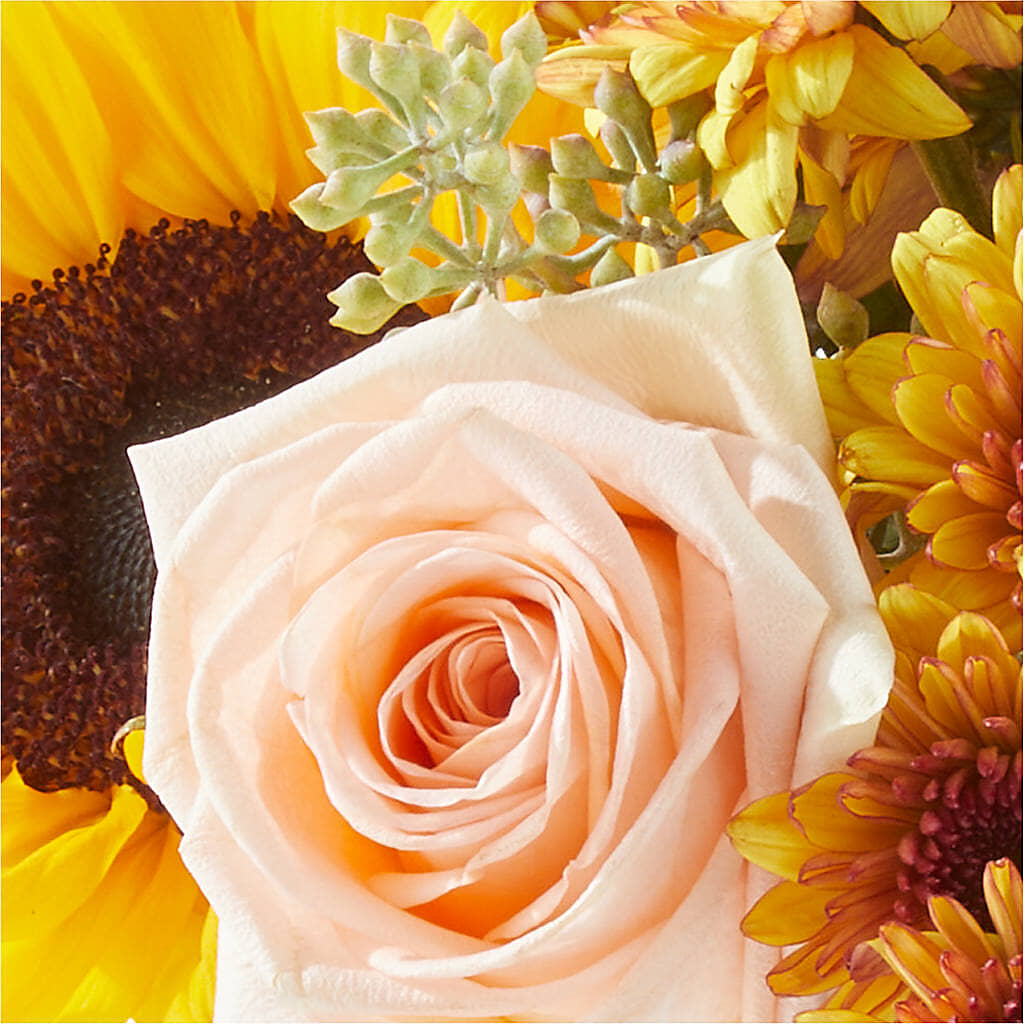 Pumpkin to Talk About Bouquet – LETITTE'S FLOWERS & GIFTS, Beaumont TX