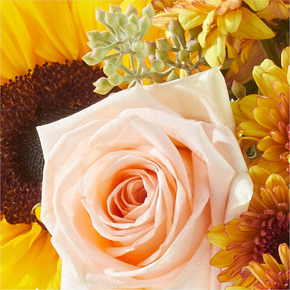 Pumpkin to Talk About Bouquet – LETITTE'S FLOWERS & GIFTS, Beaumont TX