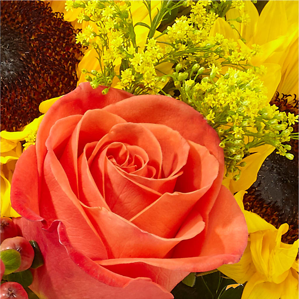 Pick of the Patch Pumpkin Bouquet – LETITTE'S FLOWERS & GIFTS, Beaumont TX