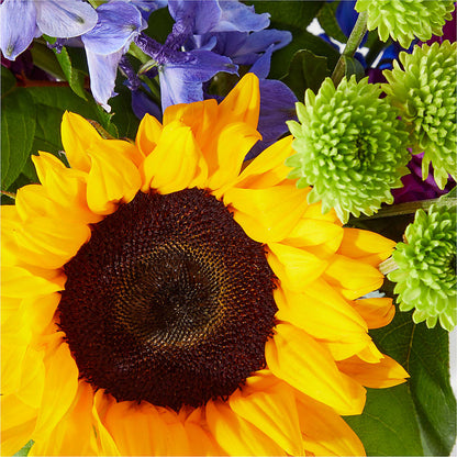 Catching Rays Bouquet – LETITTE'S FLOWERS & GIFTS, Beaumont TX