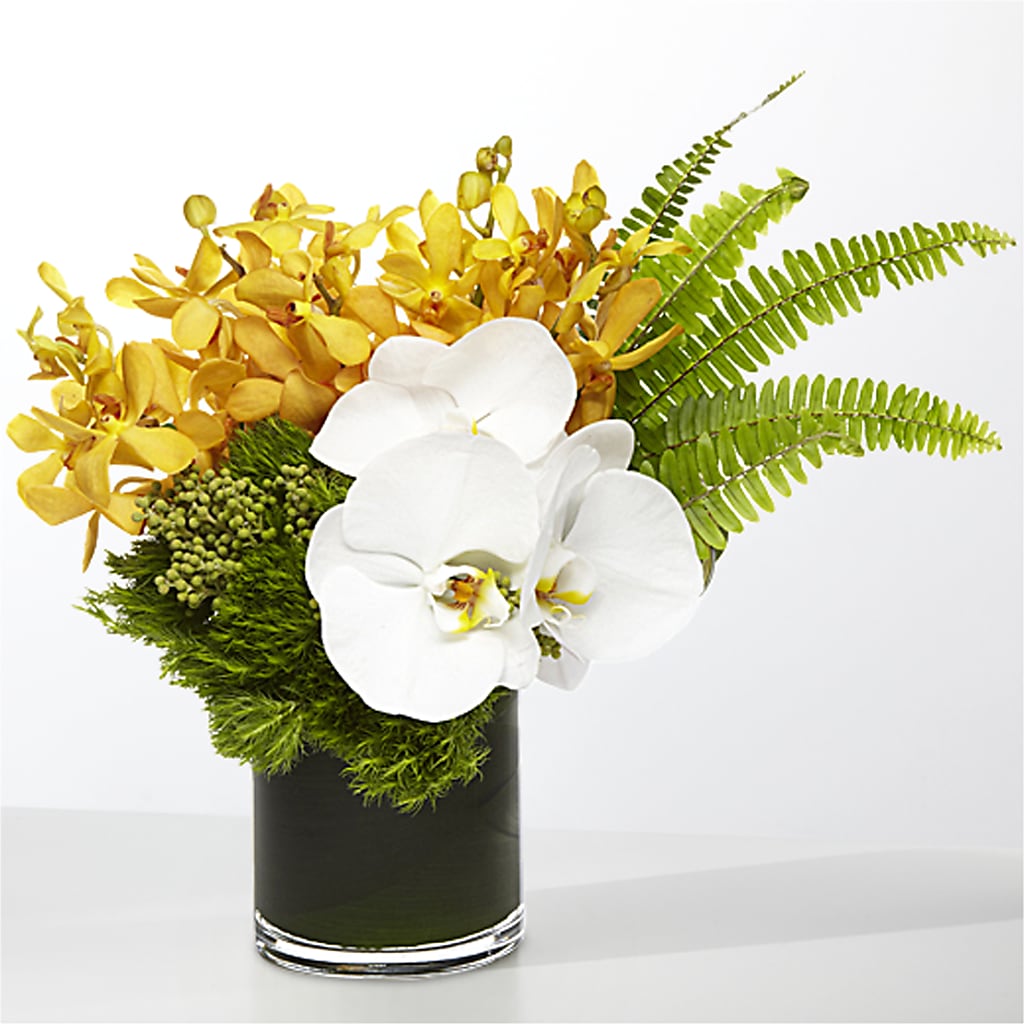 The Tropics – LETITTE'S FLOWERS & GIFTS, Beaumont TX