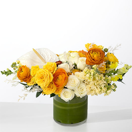 The Optimist – LETITTE'S FLOWERS & GIFTS, Beaumont TX
