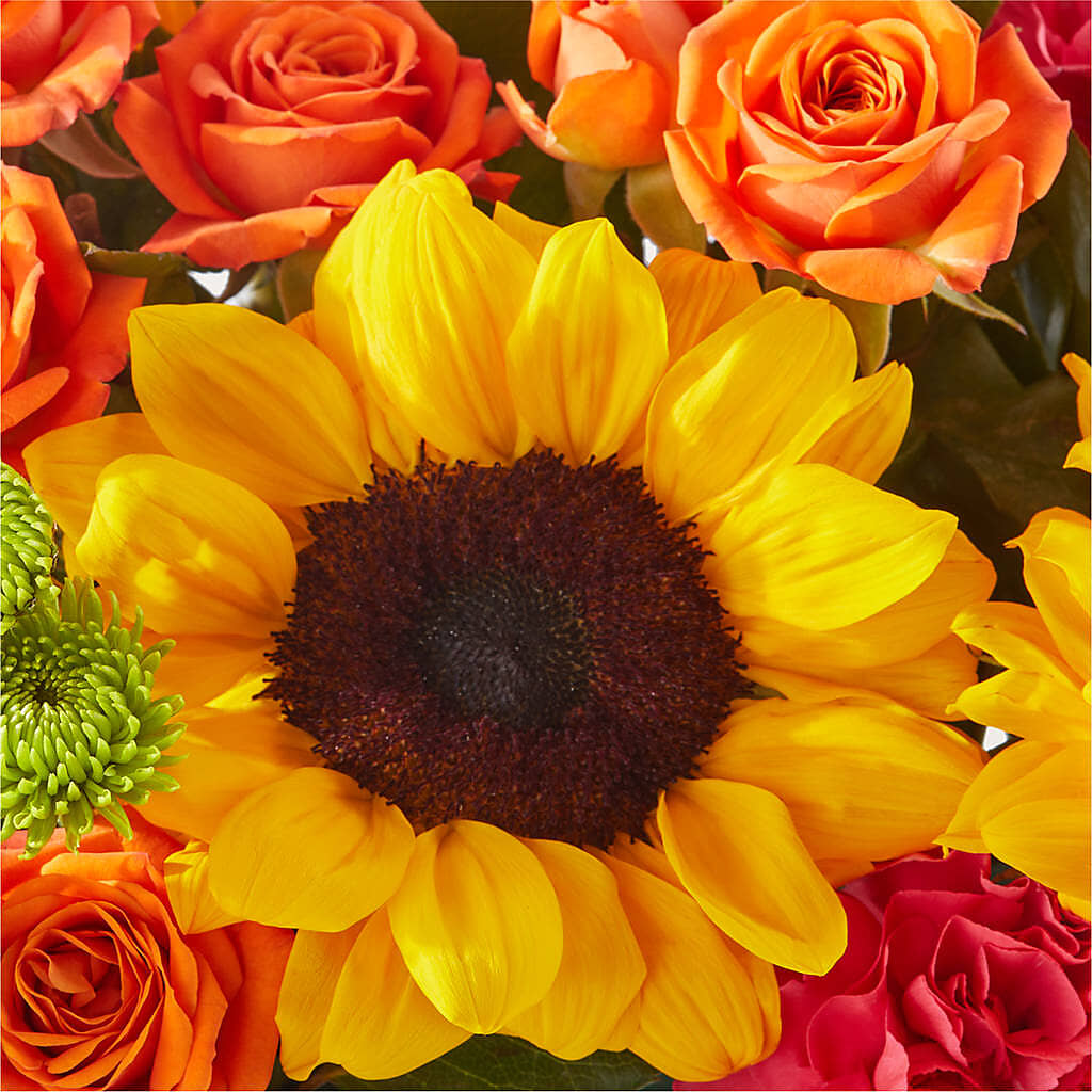Sun-drenched Blooms Box Bouquet – LETITTE'S FLOWERS & GIFTS, Beaumont TX