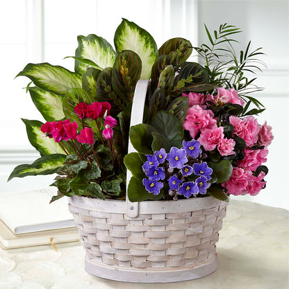 Peaceful Garden Planter – LETITTE'S FLOWERS & GIFTS, Beaumont TX