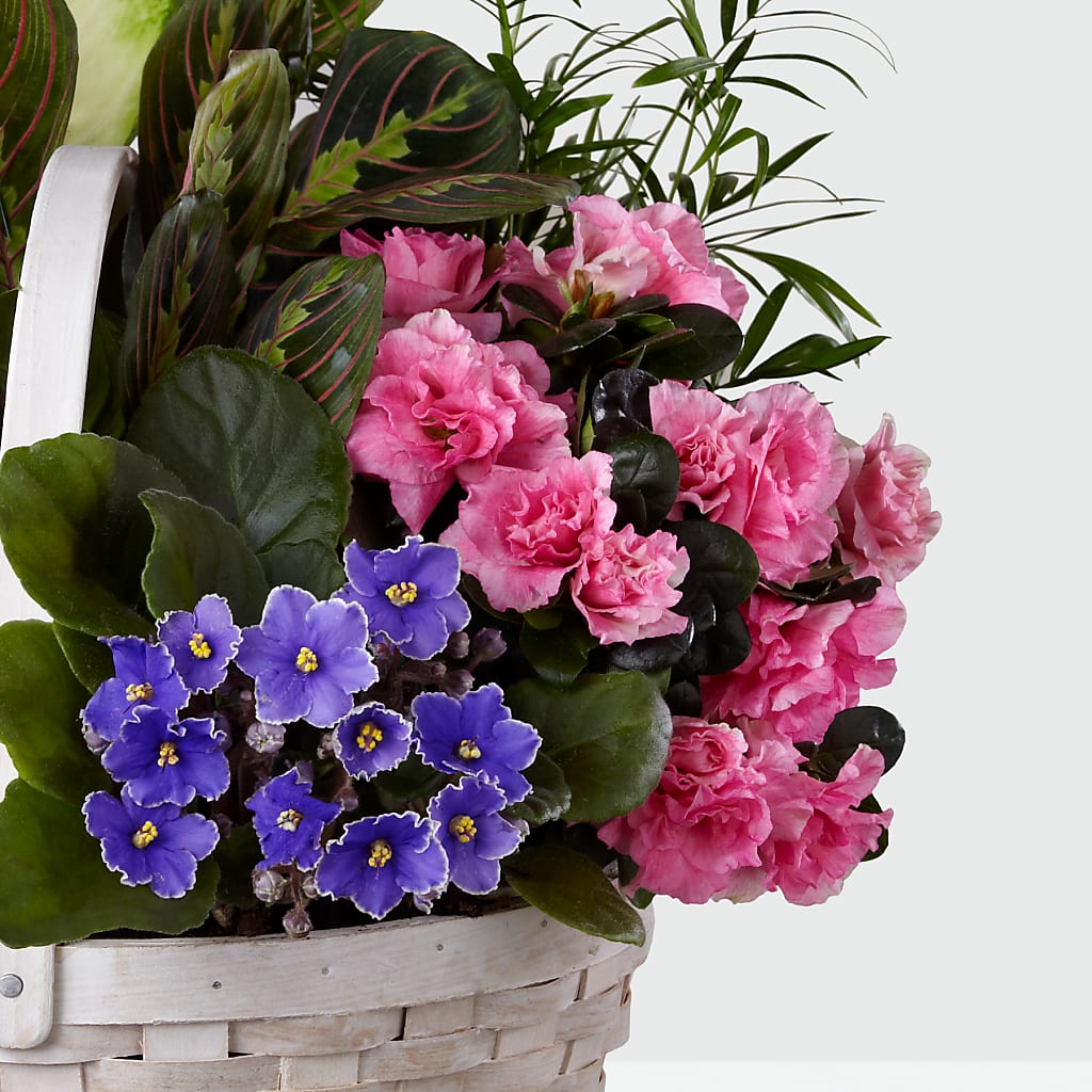 Peaceful Garden Planter – LETITTE'S FLOWERS & GIFTS, Beaumont TX