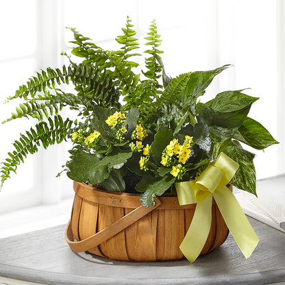 Always Dear Dishgarden – LETITTE'S FLOWERS & GIFTS, Beaumont TX