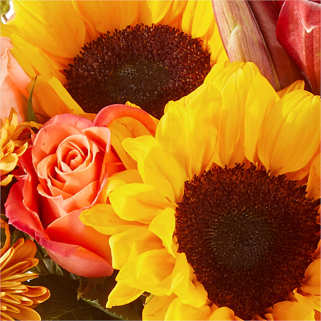 Acorn Lane Bouquet – LETITTE'S FLOWERS & GIFTS, Beaumont TX