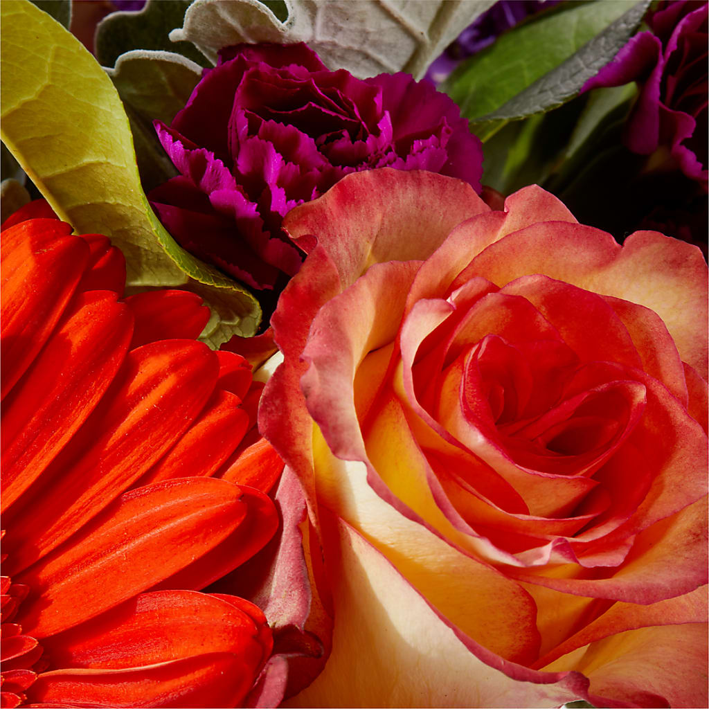 Sangria Bouquet – LETITTE'S FLOWERS & GIFTS, Beaumont TX