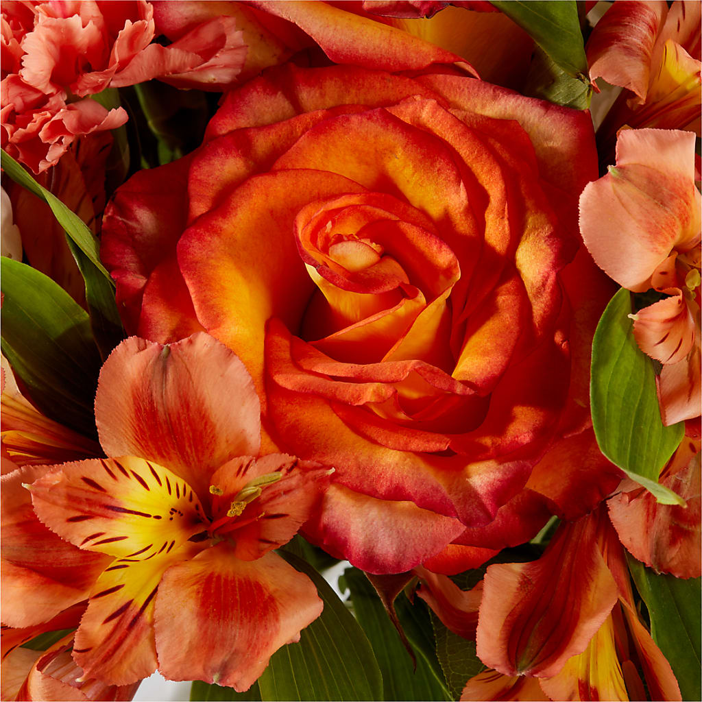 Apricot Glow Bouquet – LETITTE'S FLOWERS & GIFTS, Beaumont TX