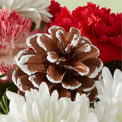 Candy Cane Lane Bouquet – LETITTE'S FLOWERS & GIFTS, Beaumont TX