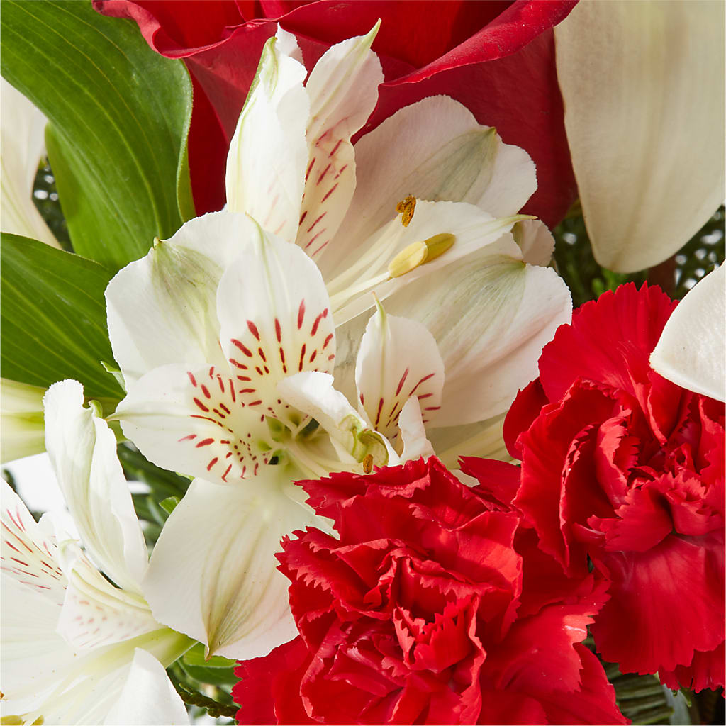 Holiday Season Bouquet – LETITTE'S FLOWERS & GIFTS, Beaumont TX