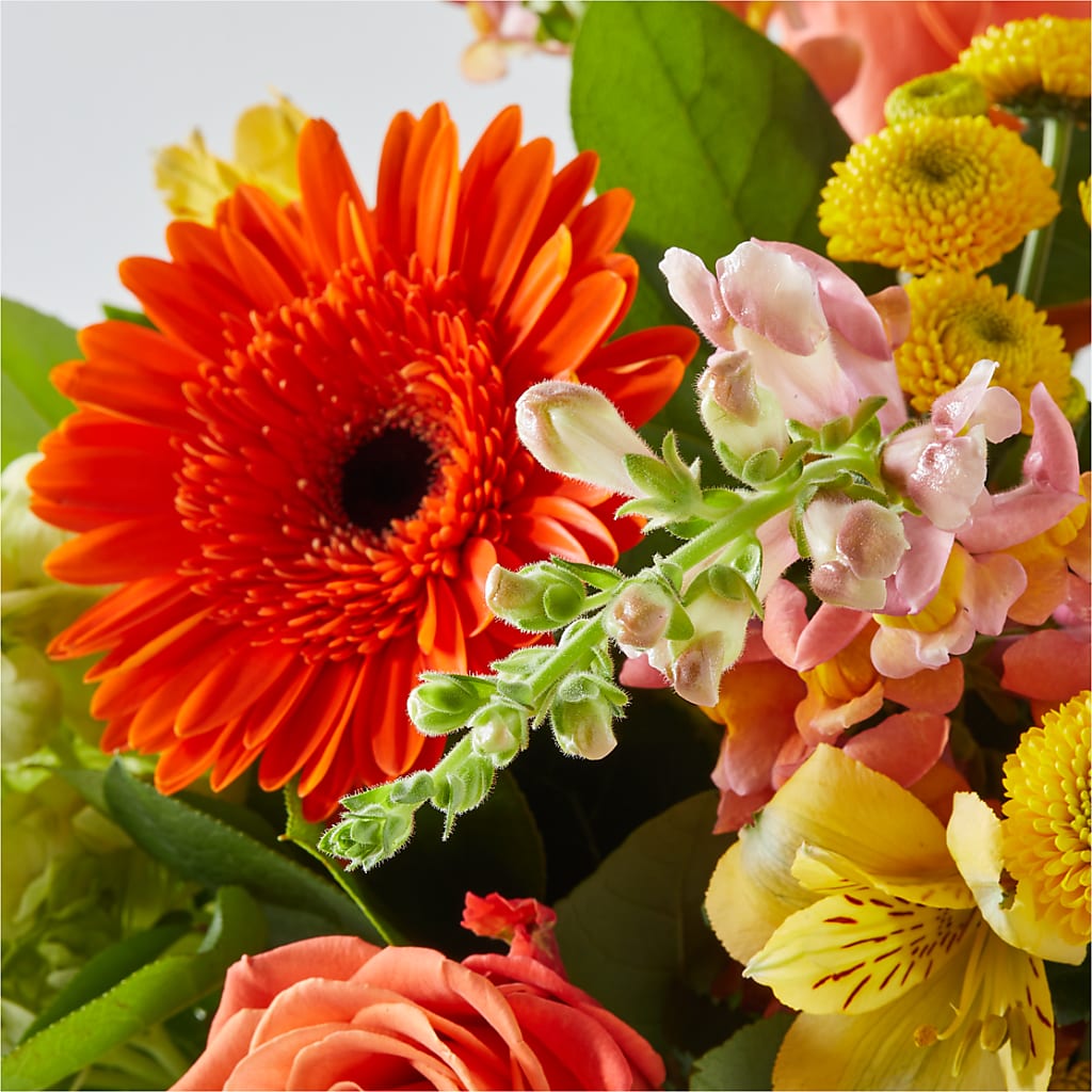 Autumn Sunshine Bouquet – LETITTE'S FLOWERS & GIFTS, Beaumont TX