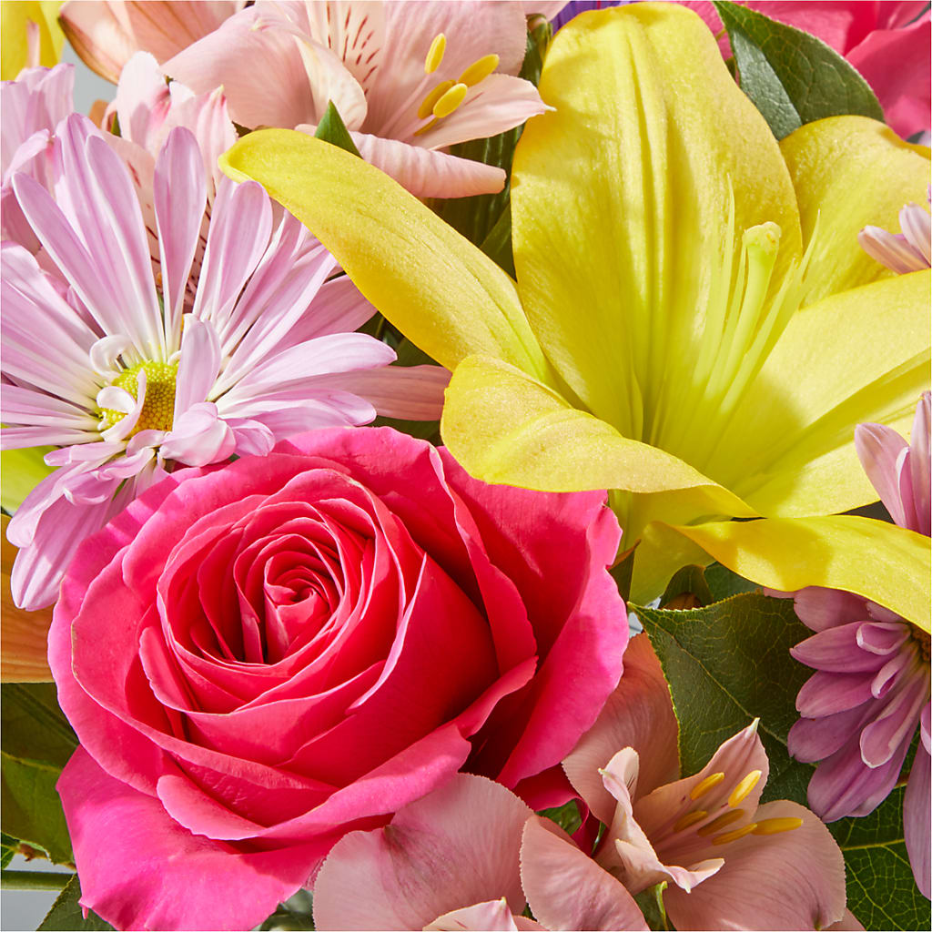 Sprinkles Bouquet – LETITTE'S FLOWERS & GIFTS, Beaumont TX