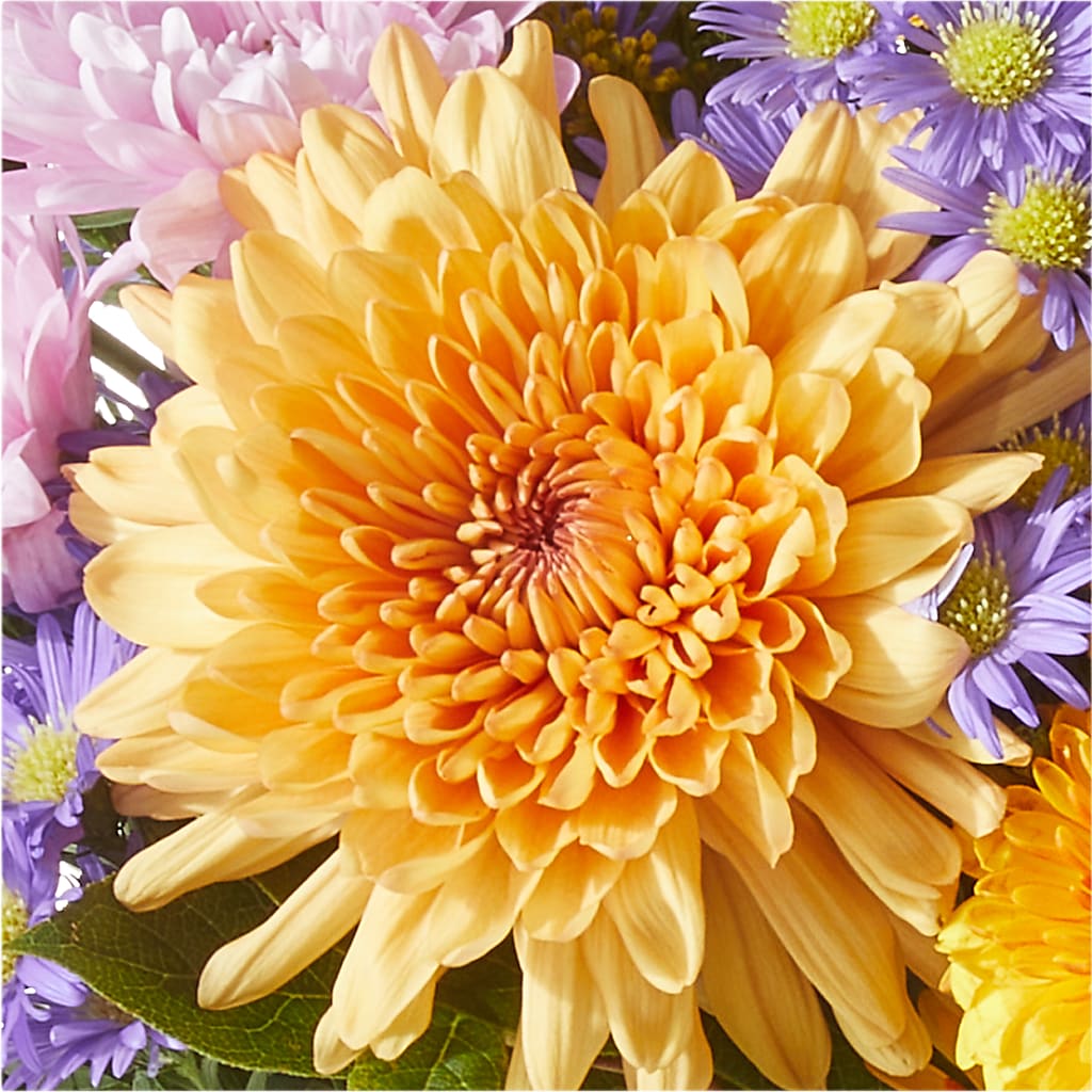 Countryside Bouquet – LETITTE'S FLOWERS & GIFTS, Beaumont TX