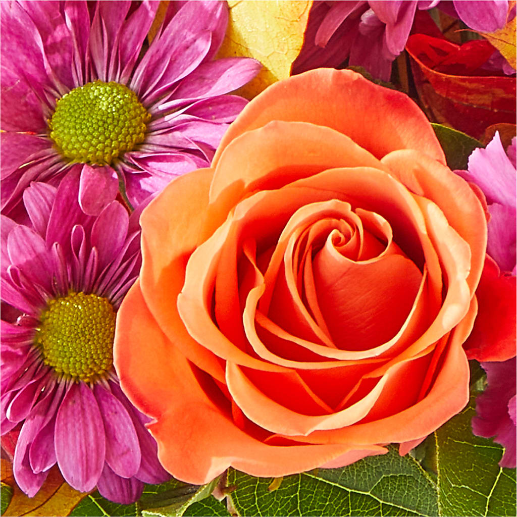 Mum's the Word Bouquet – LETITTE'S FLOWERS & GIFTS, Beaumont TX