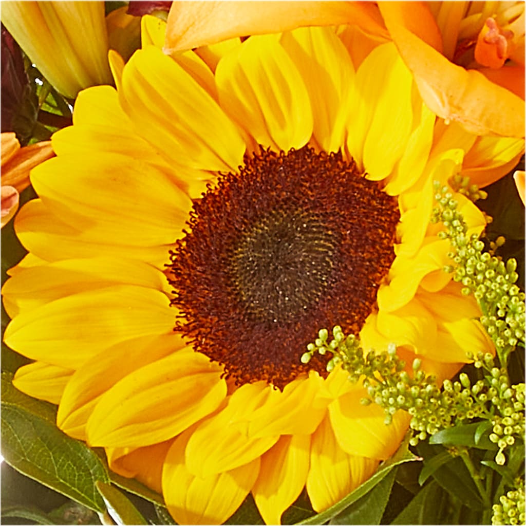Seasons Change Bouquet – LETITTE'S FLOWERS & GIFTS, Beaumont TX