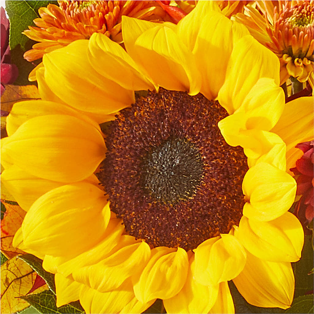Sunny Side Bouquet – LETITTE'S FLOWERS & GIFTS, Beaumont TX