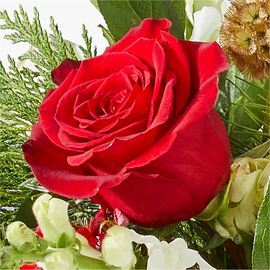 Deck the Halls Bouquet – LETITTE'S FLOWERS & GIFTS, Beaumont TX