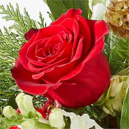 Deck the Halls Bouquet – LETITTE'S FLOWERS & GIFTS, Beaumont TX