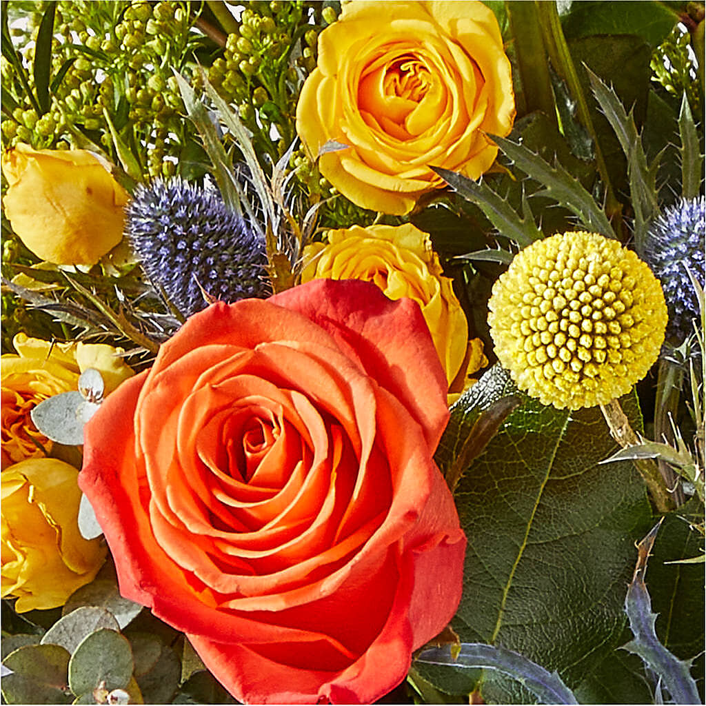 Disco Bouquet – LETITTE'S FLOWERS & GIFTS, Beaumont TX