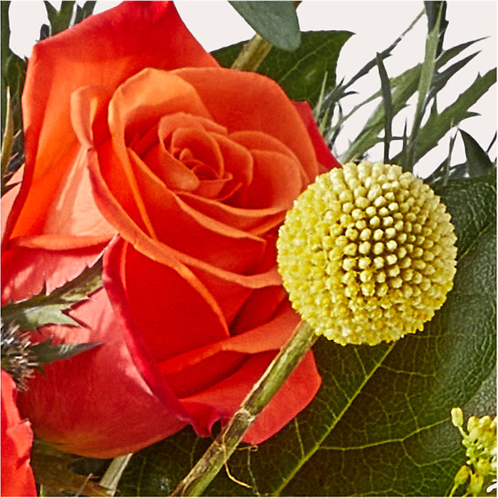 Disco Bouquet – LETITTE'S FLOWERS & GIFTS, Beaumont TX