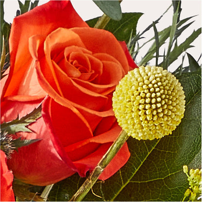 Disco Bouquet – LETITTE'S FLOWERS & GIFTS, Beaumont TX