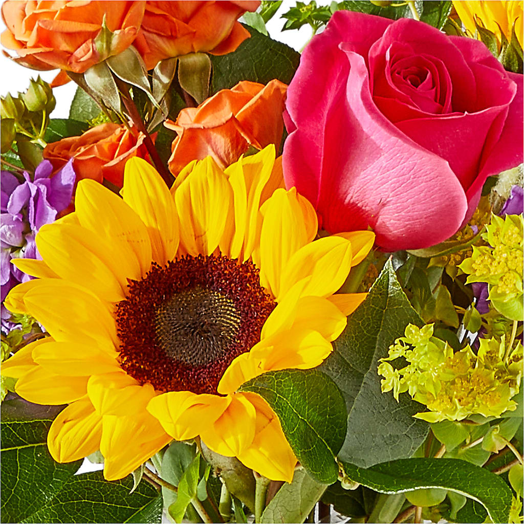 Vibrant Greetings Bouquet – LETITTE'S FLOWERS & GIFTS, Beaumont TX